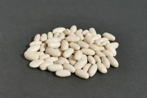 haricots blancs
