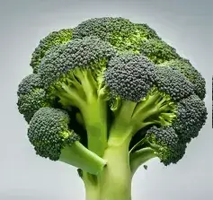 brocoli