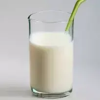 lait végétal