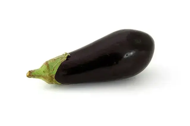 aubergine